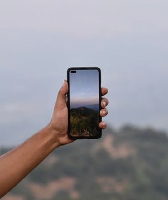 ba cây trực tuyến Sodo